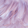 Фотообои Vimala Перья 1 270x400
