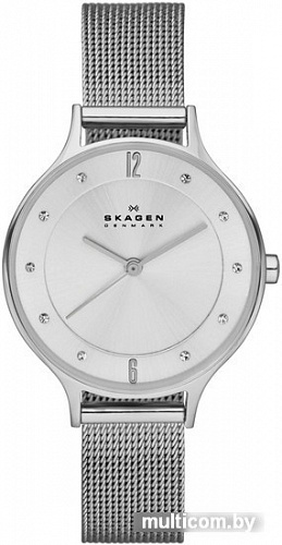 Наручные часы Skagen SKW2149