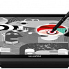 Графический планшет Huion Kamvas GT-191 V2