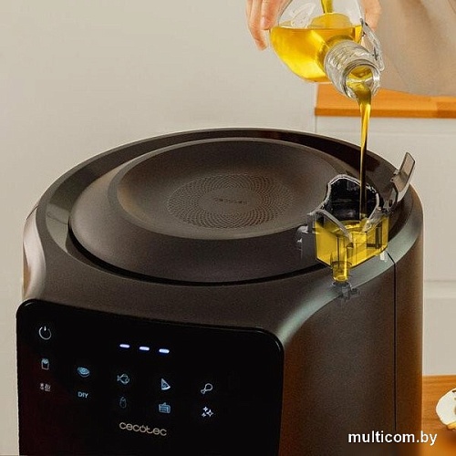 Аэрогриль (аэрофритюрница) Cecotec CecoFry Rain M