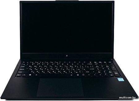 Ноутбук ACD 17S G2 AH17S3386WB