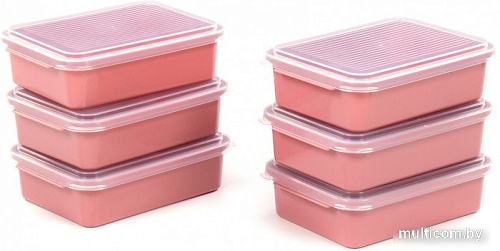 Набор контейнеров Полесье 176x123x50мм с крышками 73928 (6 шт, бледно-коралловый/прозрачный)