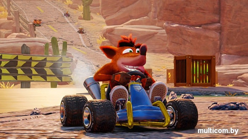 Игра Crash Team Racing Nitro-Fueled для Nintendo Switch