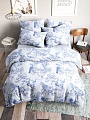 Постельное белье Windslow Конни Евро 50x70 20708-1+21141-42