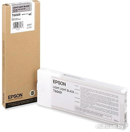 Картридж Epson C13T606900