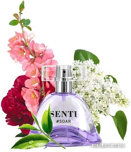 Dilis Parfum Senti Soar EdP 50 мл
