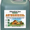 Антисептик Здоровый дом Антиплесень 9 кг