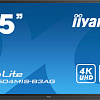 Интерактивная панель Iiyama ProLite TE7504MIS-B3AG