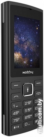 Мобильный телефон Nobby 210 (черный/серый)