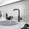 Держатель для мыльницы и стакана Grohe Essentials 40369A01 (темный графит)