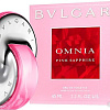 Bvlgari Omnia Pink Sapphire EdT (25 мл)