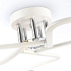 Люстра средней высоты Ambrella light TR TR303219