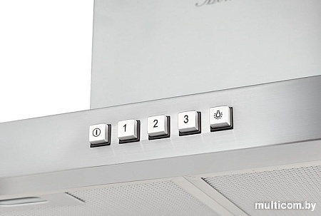 Кухонная вытяжка Monsher Delta 60 X