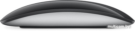 Мышь Apple Magic Mouse (черный)