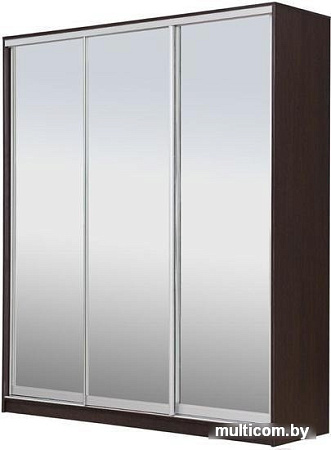 Шкаф-купе Рэйгрупп 176450 VVX Elgon РГ-09.04 (венге/хром)