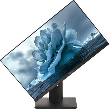 Моноблок ТЕСЛА P27BPQ 2116500