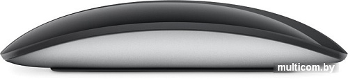 Мышь Apple Magic Mouse (черный)