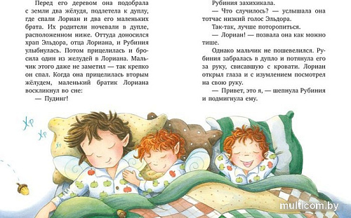 Книга издательства Clever. Рубиния Чудесное Сердце. Тайна черных перьев (Ангермейер К.)