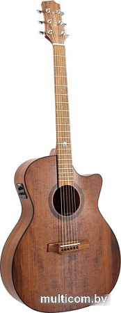 Электроакустическая гитара Randon RGI-14VT-CE