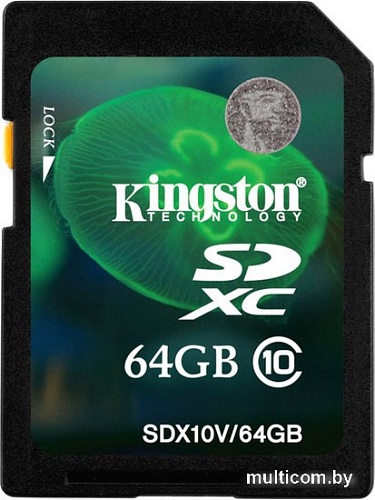 Карта памяти Kingston SDXC (Class 10) 64GB (SDX10V/64GB)