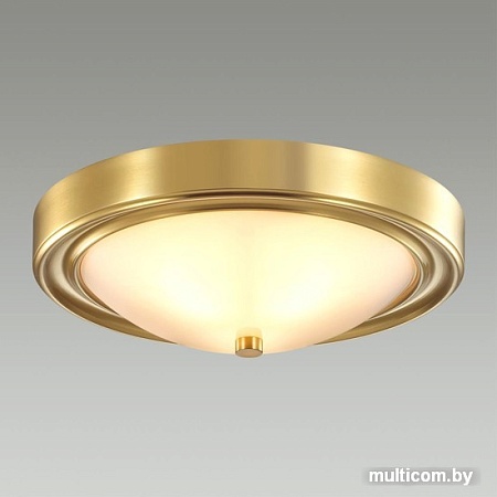 Припотолочная люстра Lumion Nina 5259/2C