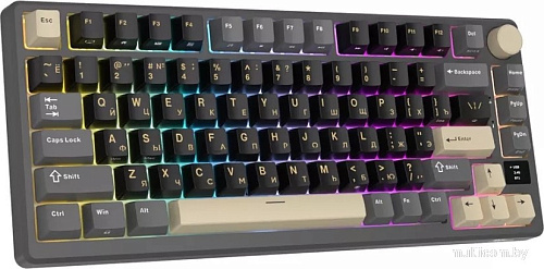 Клавиатура Royal Kludge RK-M75 RGB (Phantom, RK Silver)