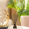 Аромадиффузор Arida Home XO The Balance (50 мл)