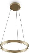 Подвесная люстра Maytoni Rim MOD058PL-L22BSK