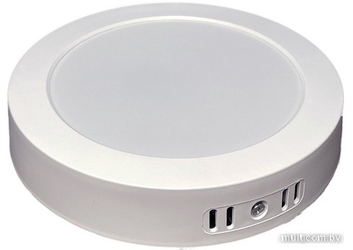 Светильник TruEnergy 20W 4000K 10106