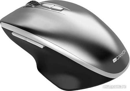 Мышь Canyon MW-21 (графит)