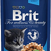 Корм для кошек Brit Premium Cat Pouches Chicken Chunks for Kitten 0.1 кг
