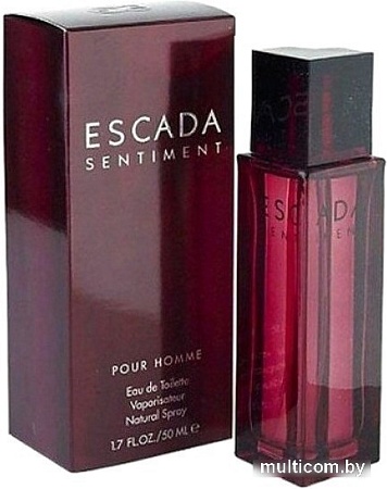 Туалетная вода Escada Sentiment for Men EdT (100 мл)