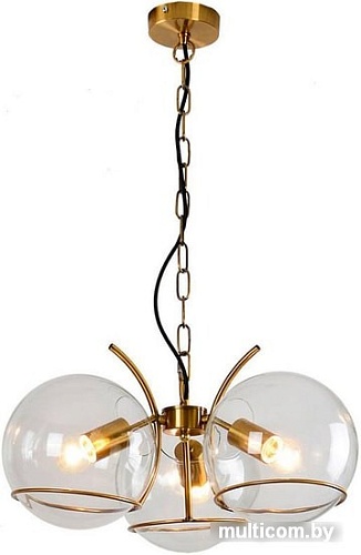 Подвесная люстра Lussole Loft LSP-9556