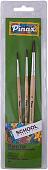 Набор кистей Pinax School & Hobby 529993 (3 шт)