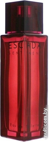 Туалетная вода Escada Sentiment for Men EdT (100 мл)