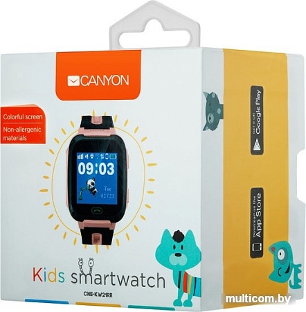Умные часы Canyon CNE-KW21RR