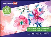 Альбом для рисования BRAUBERG Art 106141 (20 л)