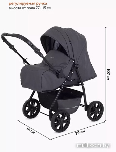 Джип-трансформер Rant Basic Riva PW 01 (2 в 1, graphite)