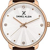 Наручные часы Daniel Klein DK12931-3