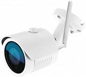 IP-камера Ginzzu HWB-1031O