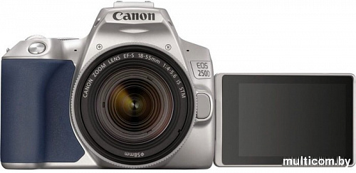 Зеркальный фотоаппарат Canon EOS 250D Kit 18-55 IS STM (серебристый)