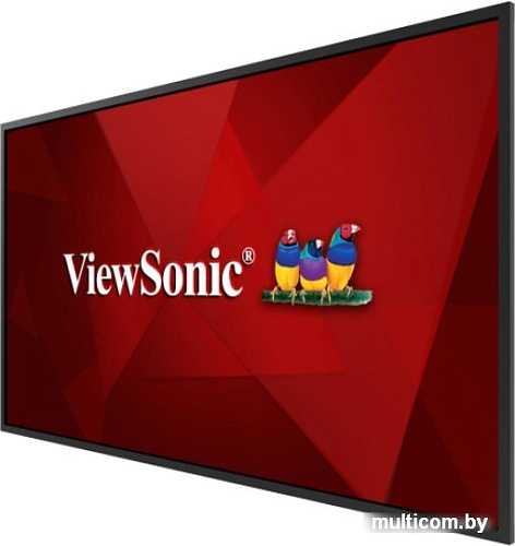 Информационная панель ViewSonic CDE5520-W