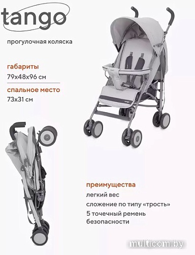 Коляска прогулочная «трость» Rant Basic Tango RA352 (silver grey)
