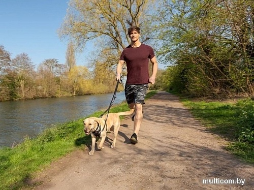 Поводок Halti Training Lead 14120B (черный)