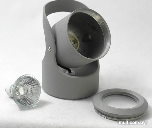 Спот Lussole Loft GRLSP-9938