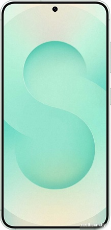 Телефон Samsung Galaxy S25 SM-S9310 12GB/256GB (мятный)
