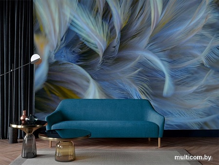 Фотообои Vimala Перья 12 270x400