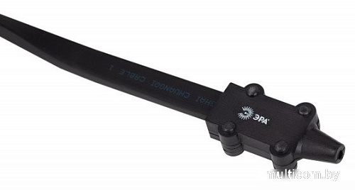 Новогодняя гирлянда ЭРА Pro ERABL-K10 Б0053024