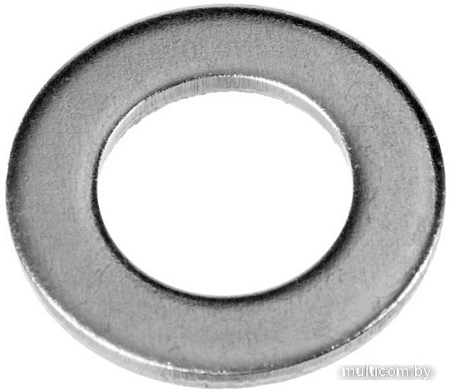 Шайба Зубр 303800-04