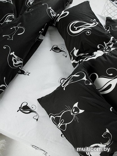 Постельное белье Ночь Нежна Багира Стандарт 70305-1+70306-1 (2-спальный, 70x70)